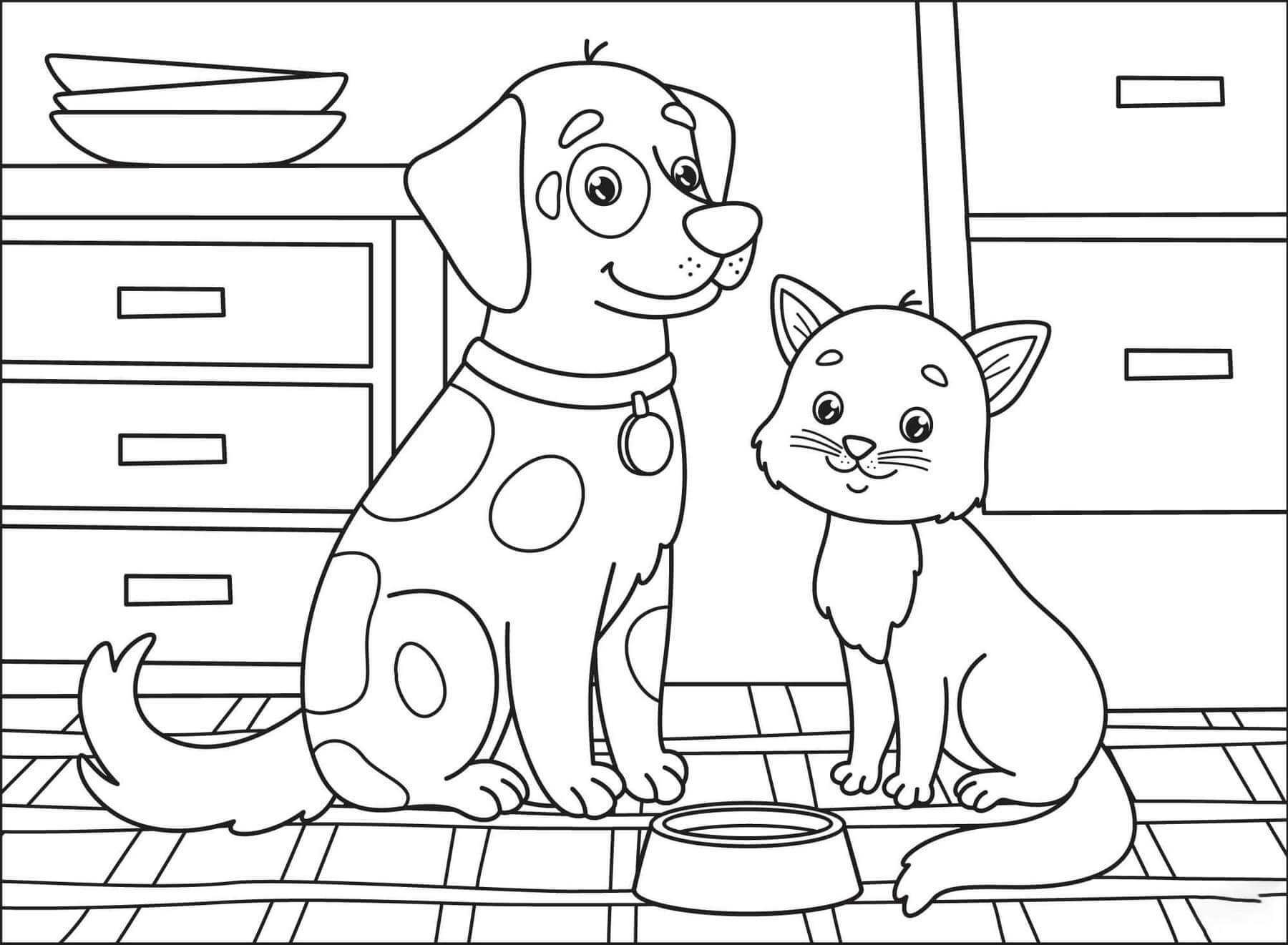 Gato y Perro en Casa