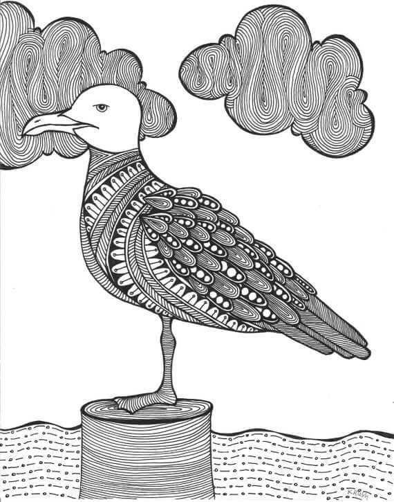 Gaviota Adulto