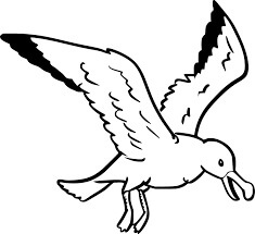 Gaviota