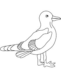Gaviotas