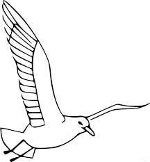 Genial Gaviota Volando