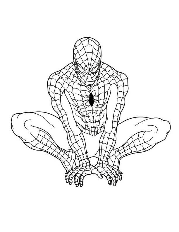 Gráficos Gratis del Hombre Araña