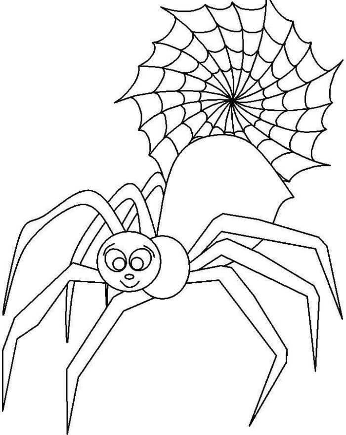 Gran Araña Sonriendo