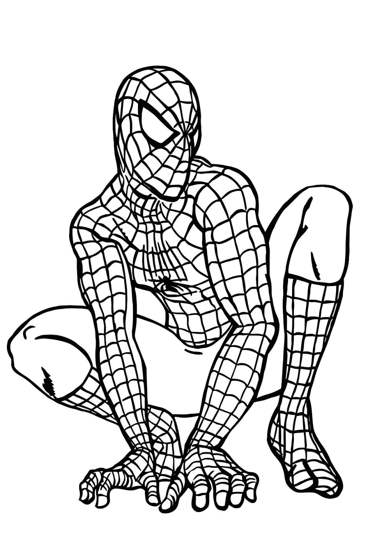 Gran Hombre Araña