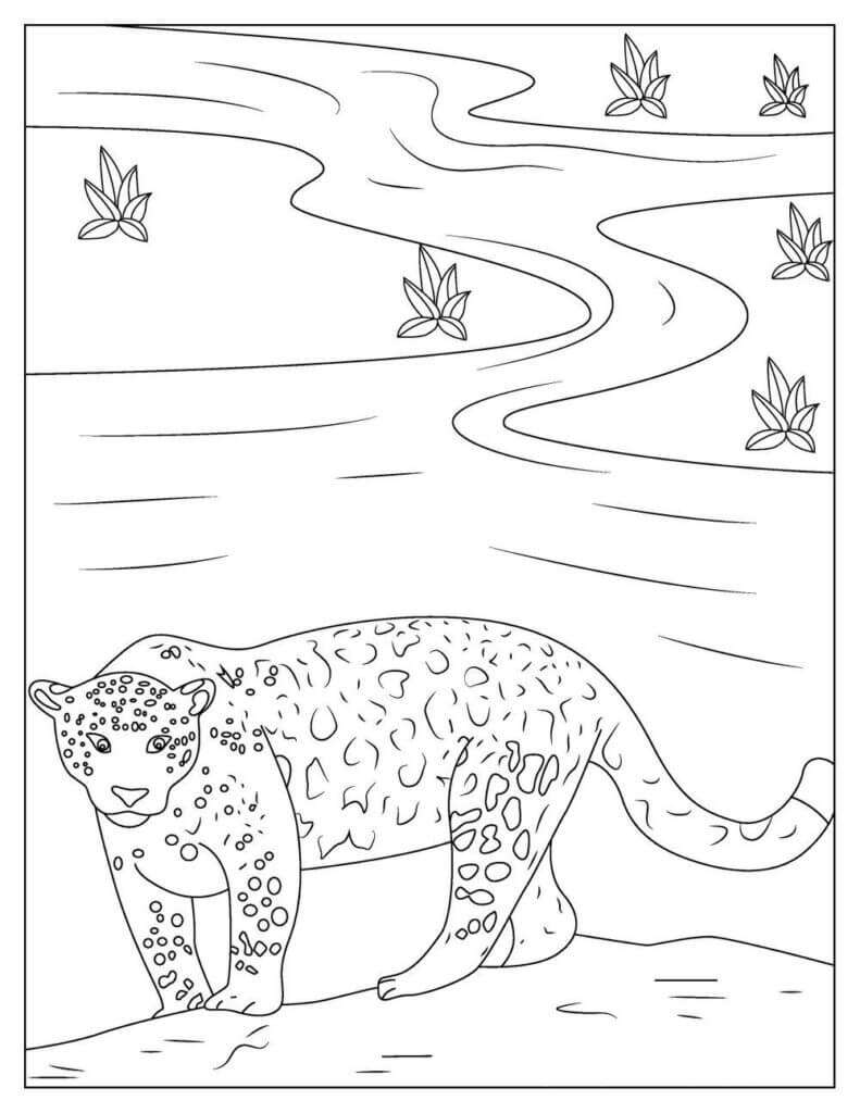 Gran Jaguar