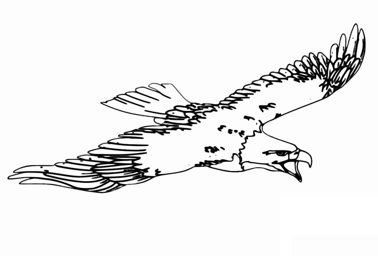 Gran vuelo del Águila