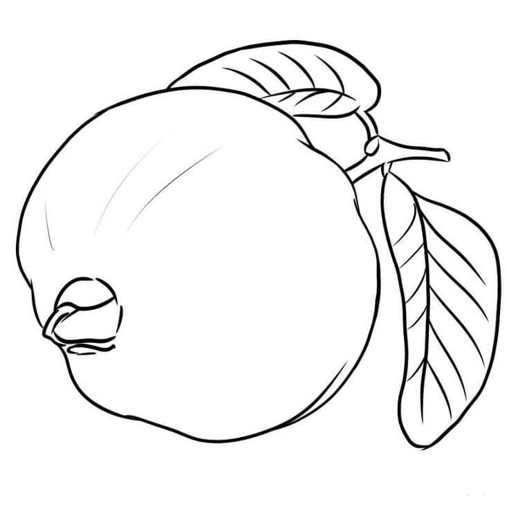 Guayaba Dulce