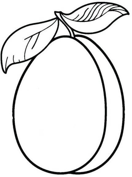 Guayaba Hermosa