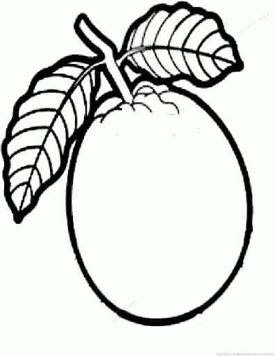 Guayaba Impresionante