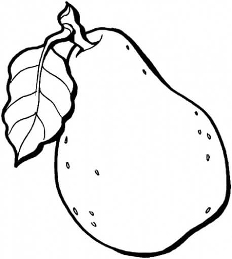 Guayaba Increíble