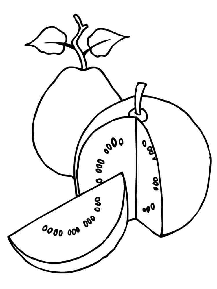 Guayaba Perfecta
