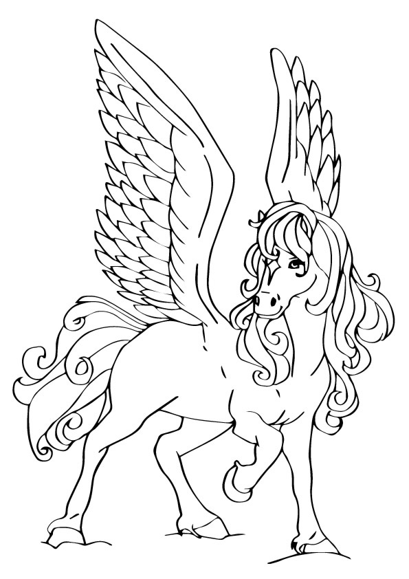 Hermosa Pegaso