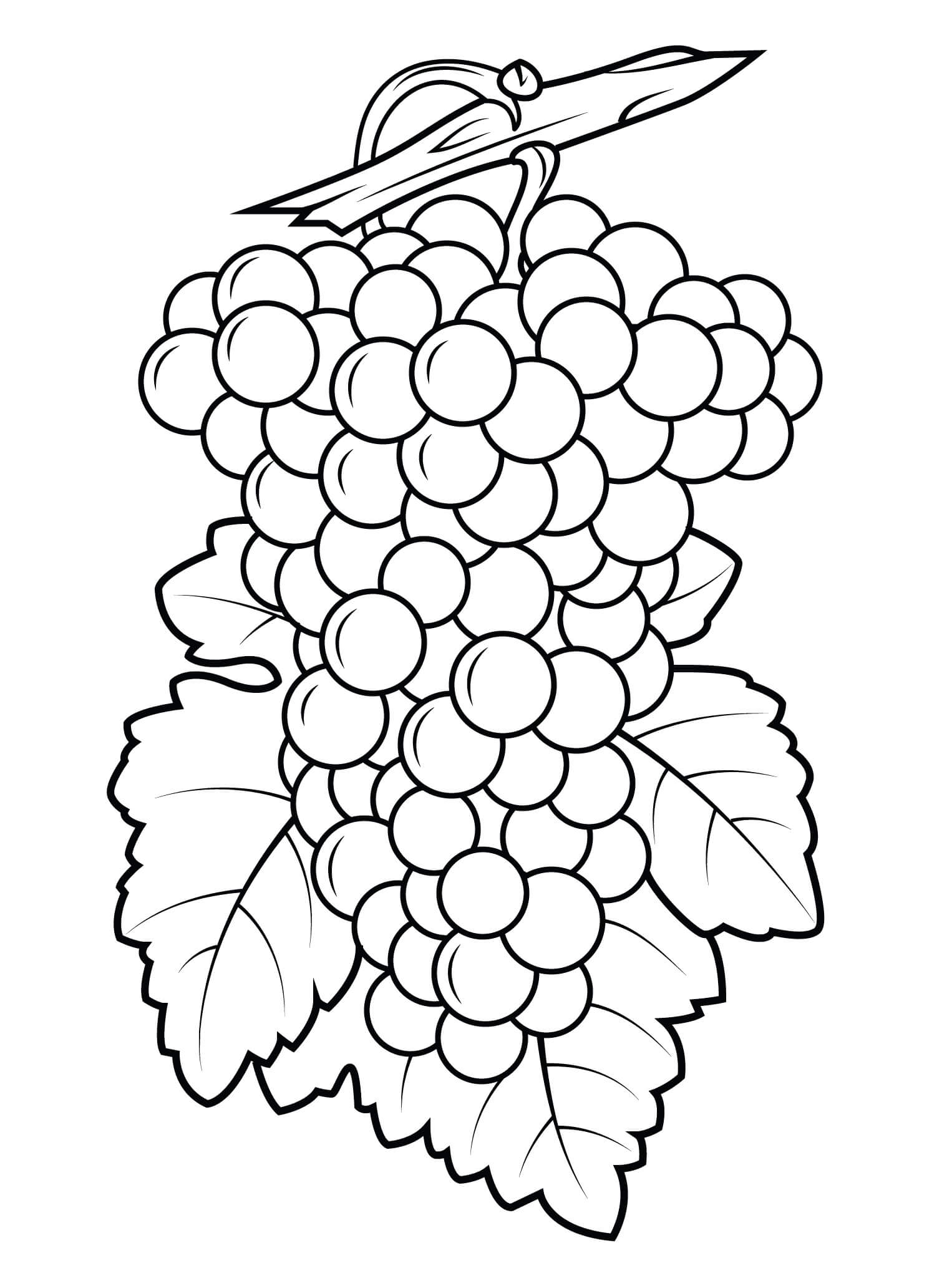 Hermosas Uvas