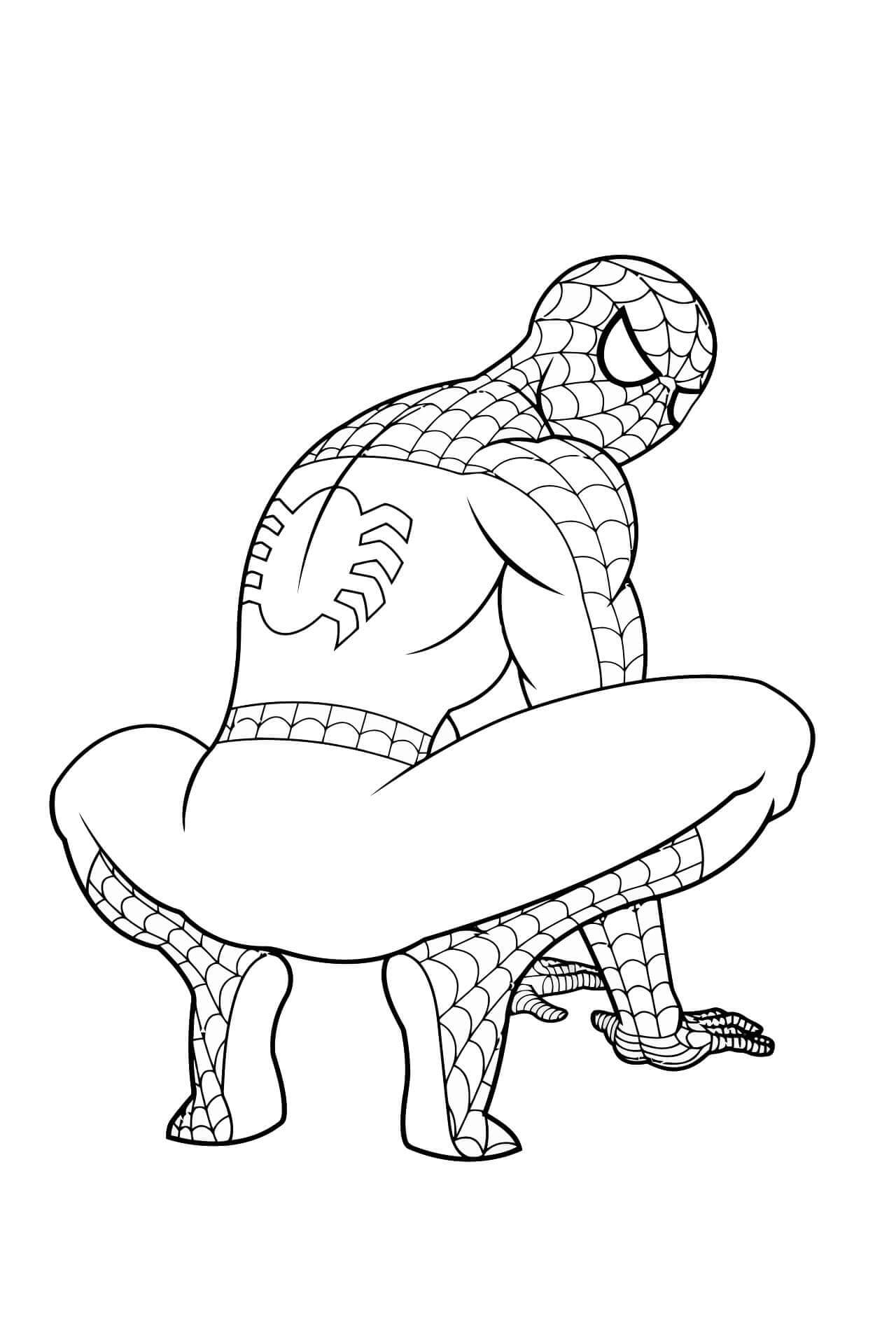 Hombre Araña Gracioso