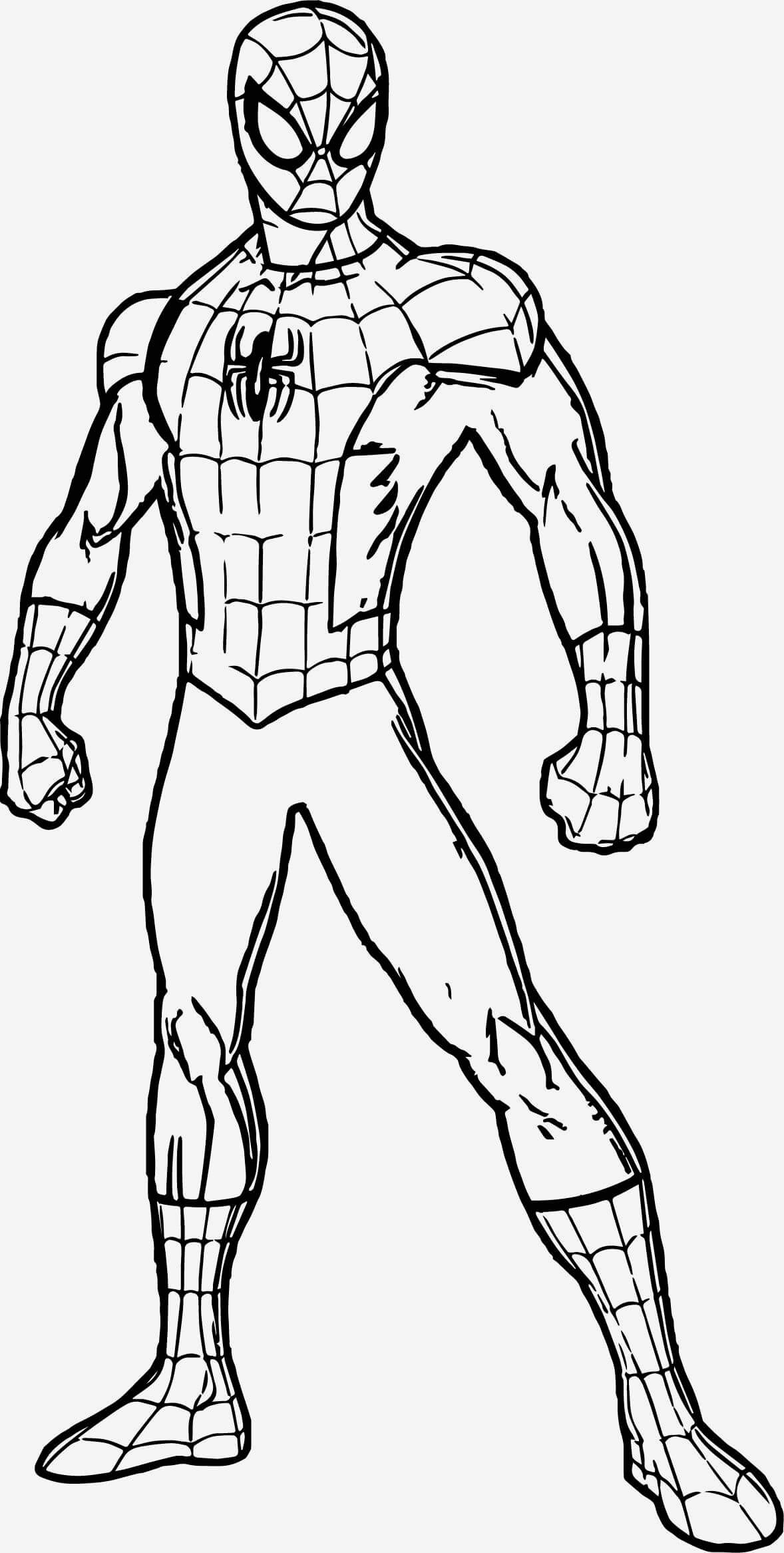 Hombre Araña Normal