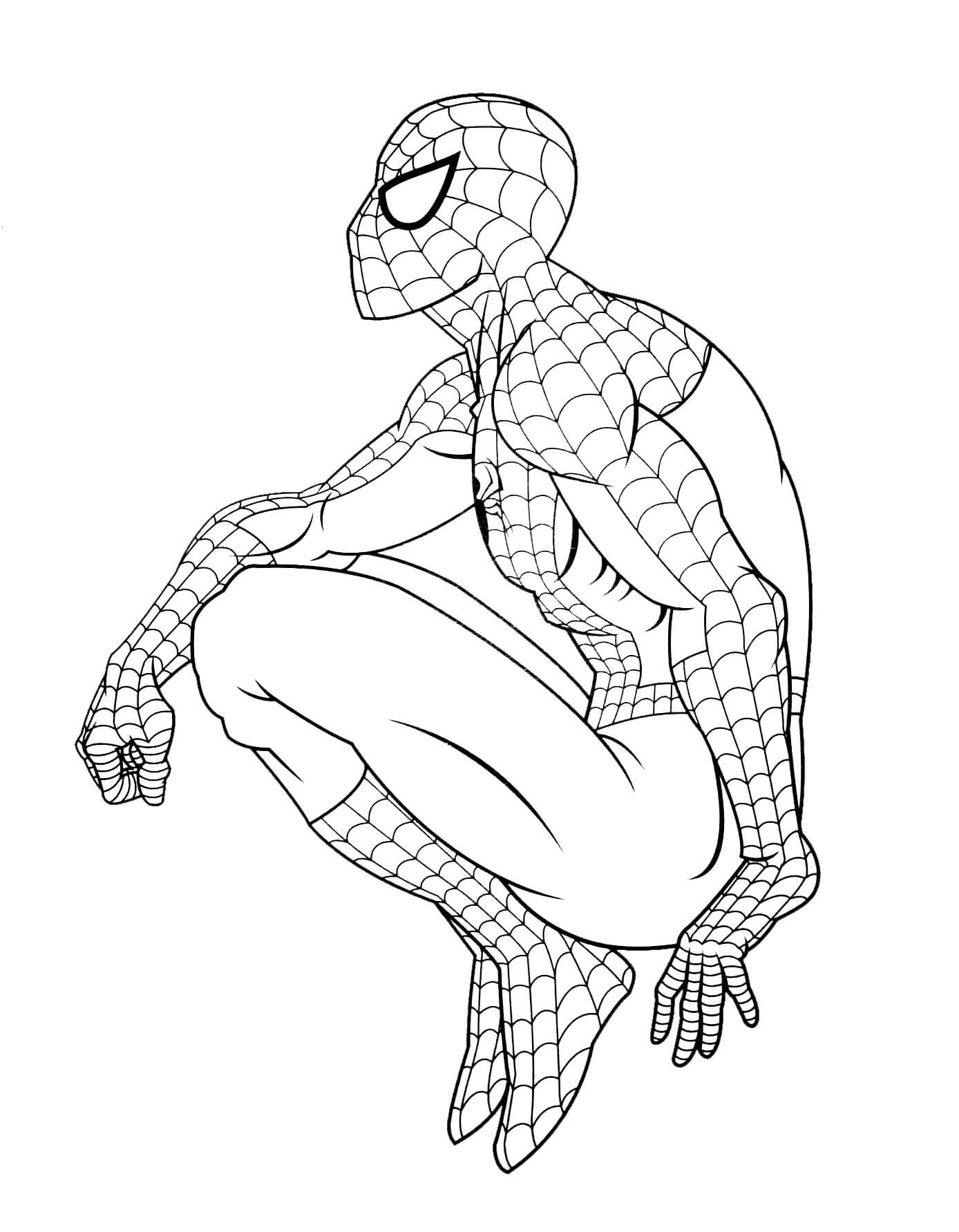 Hombre Araña Sentado
