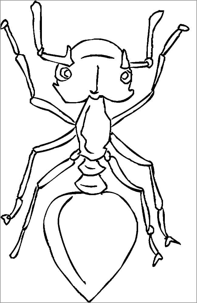Hormiga Adorable