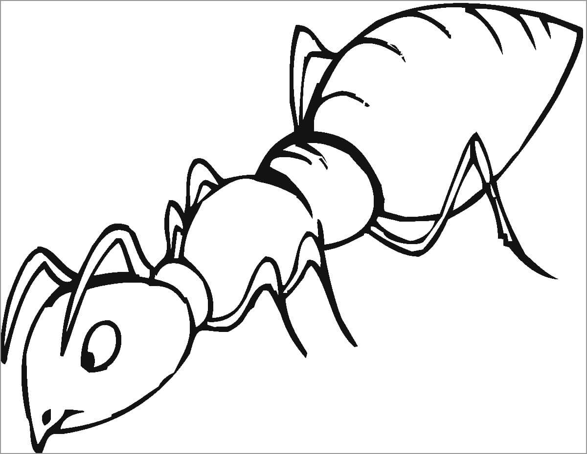 Hormiga Asombrosa