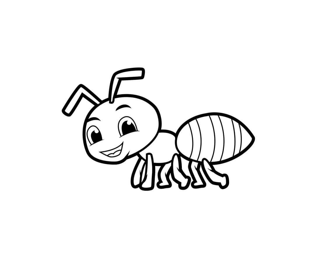 Hormiga Divertida