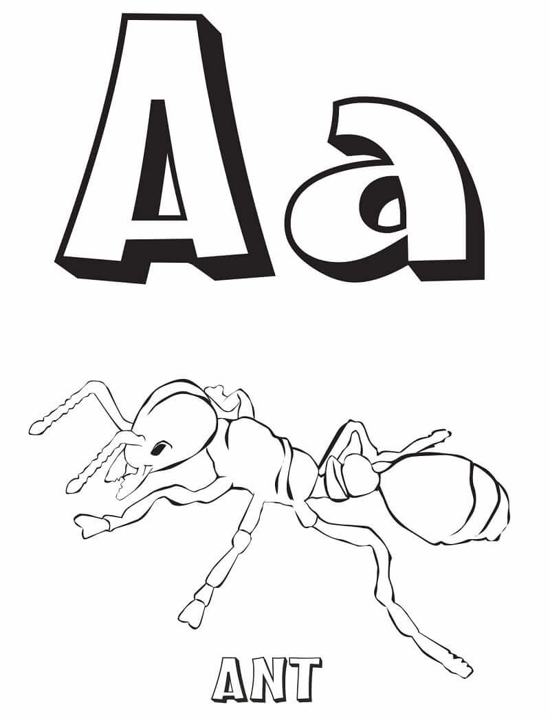 Hormiga Letra A 1