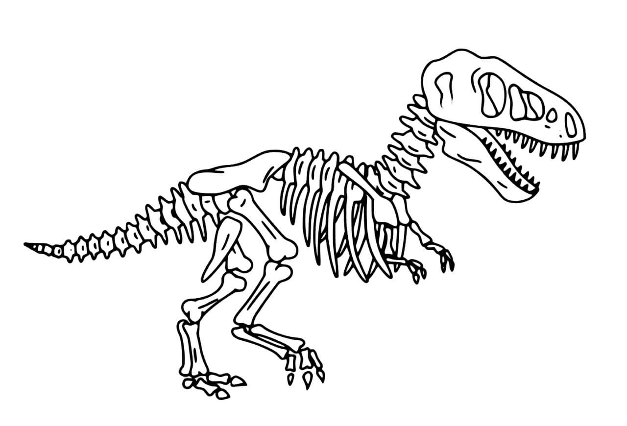 Hueso De Dinosaurio