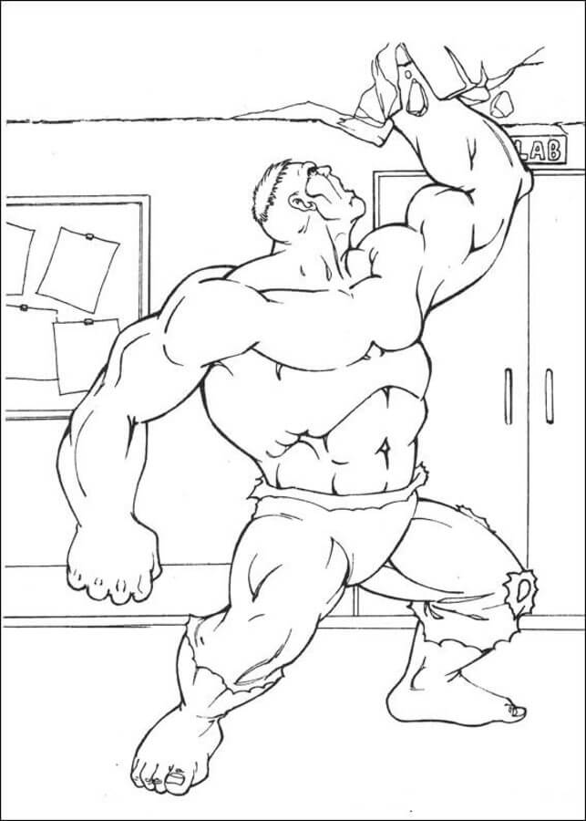Hulk en la Casa