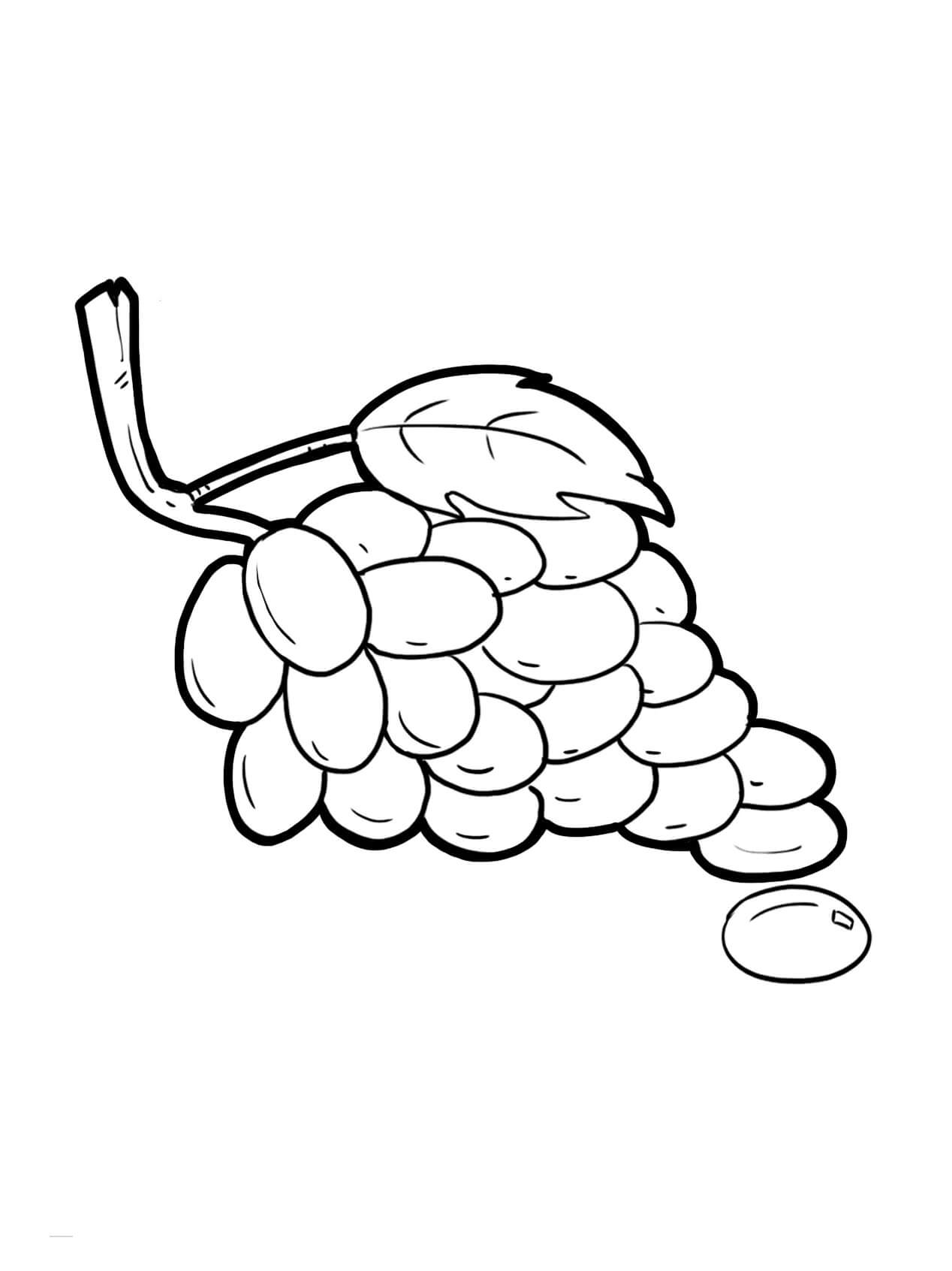 Idea Libre de Uvas