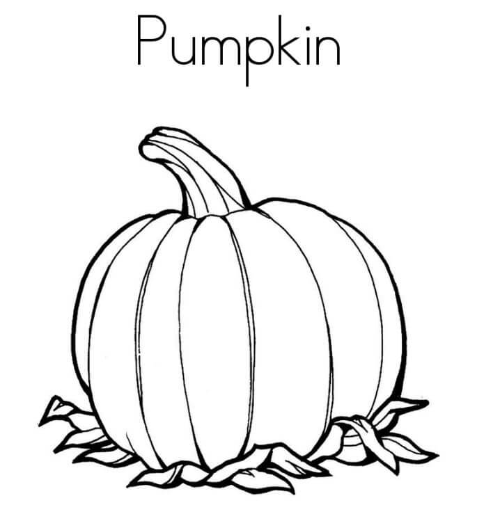Impresionante Calabaza