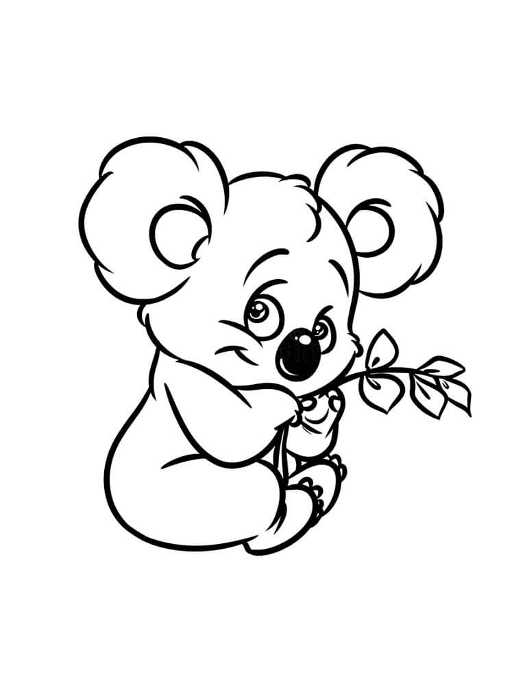 Increíble Koala