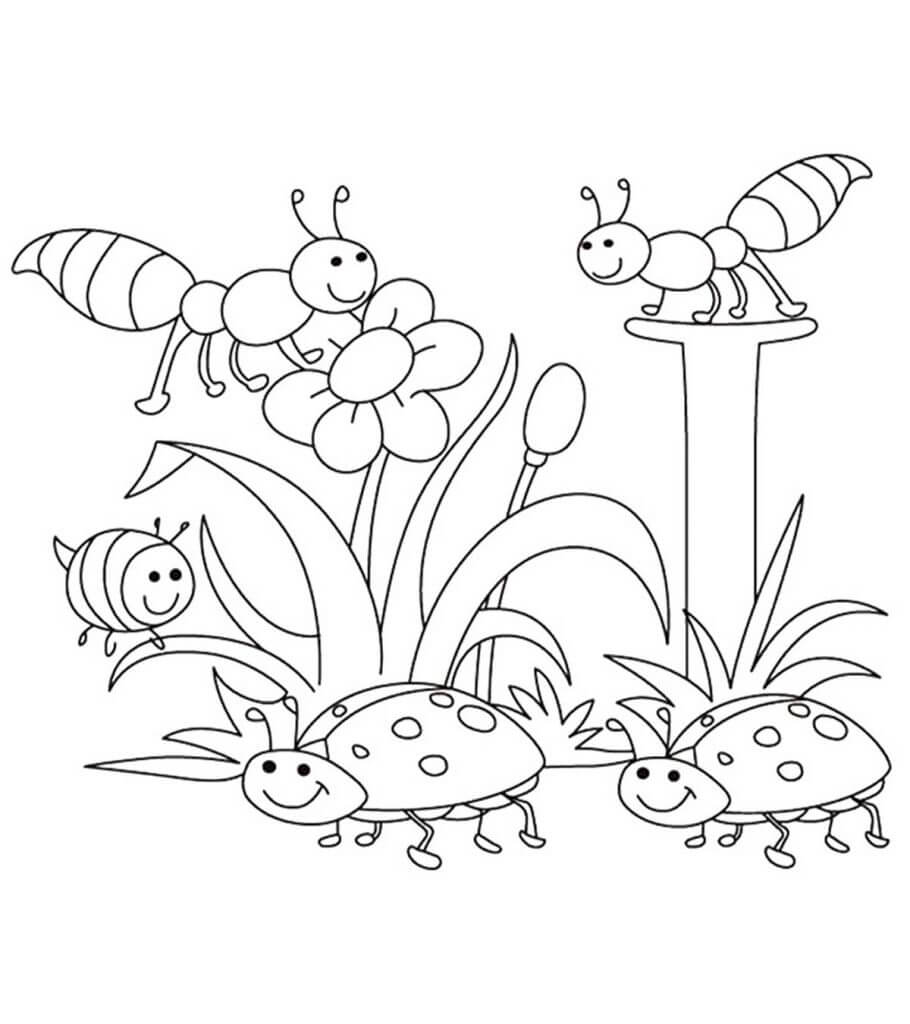 Insectos en Primavera