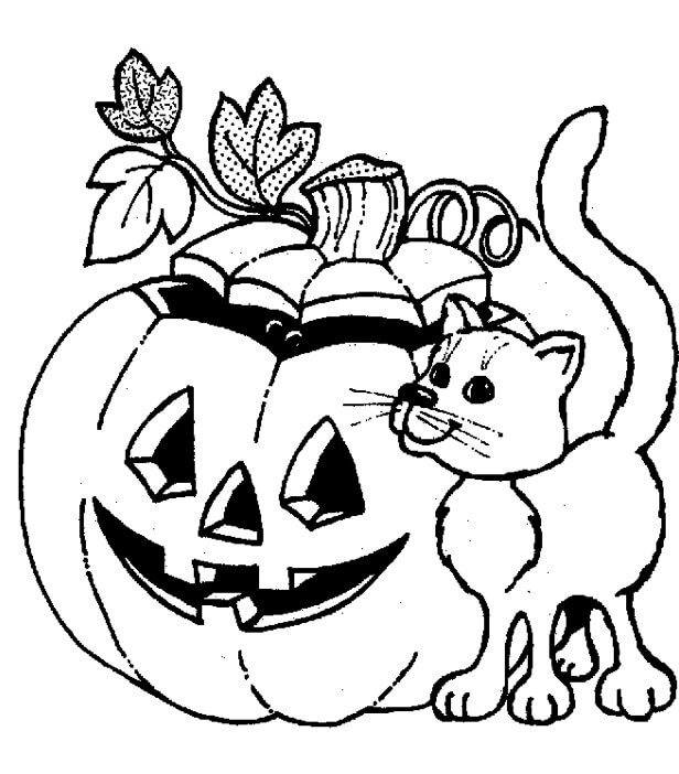 Jack o 'Lantern Y Gato