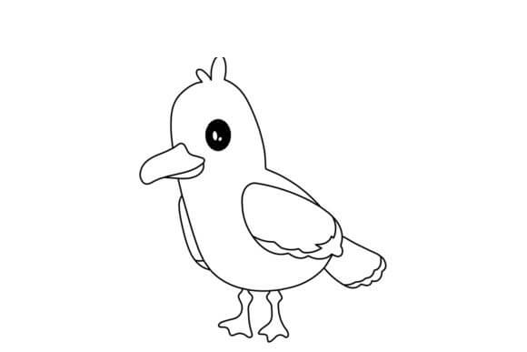 Kittiwake