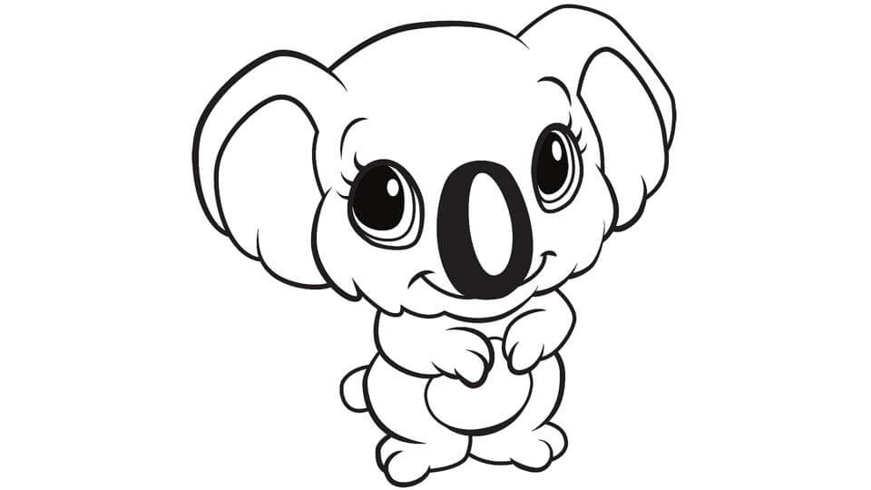 Koala Básico