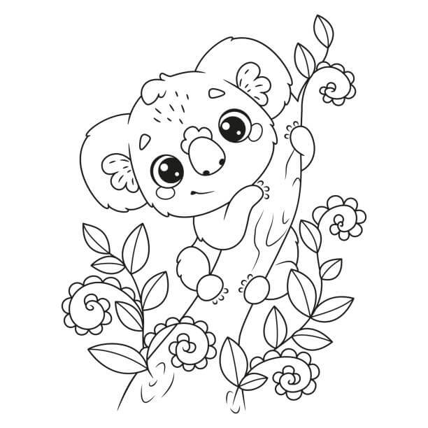 Koala con Flor
