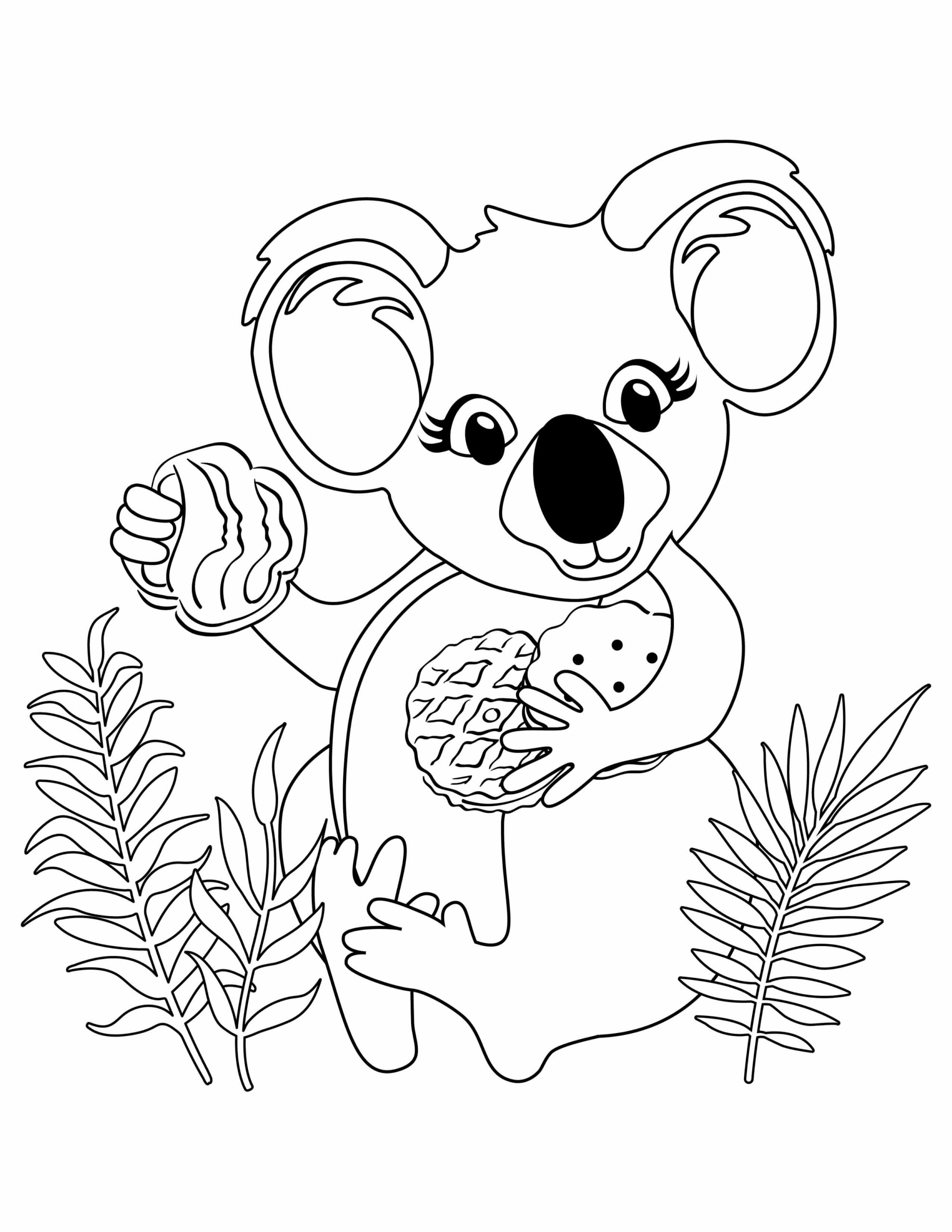 Koala con Galletas