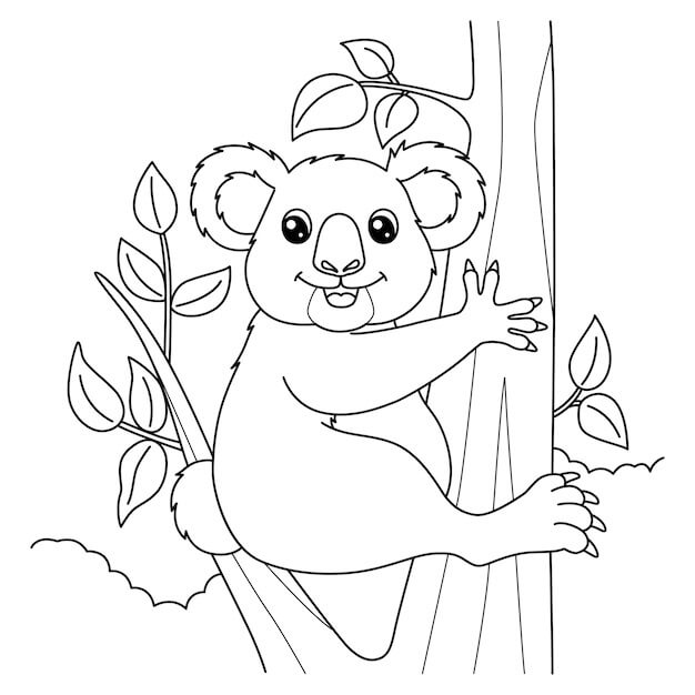 Koala Divertido