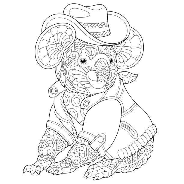 Koala es para Adultos