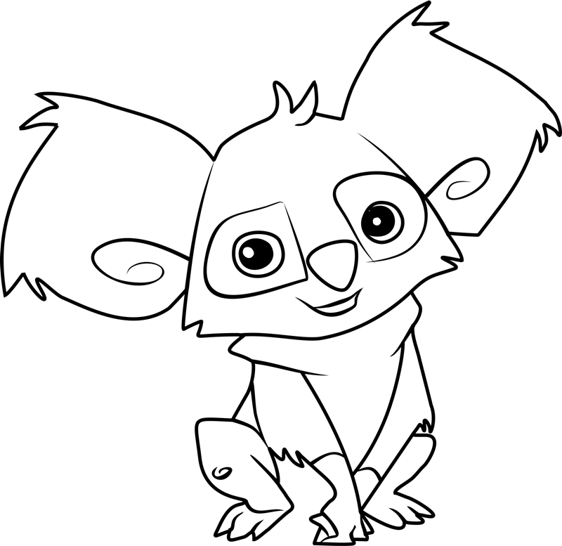 Koala Está Sonriendo