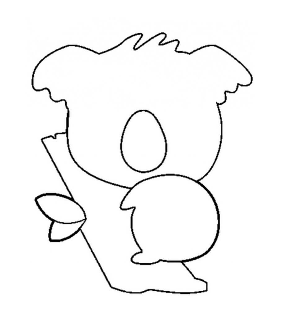 Koala Fácil