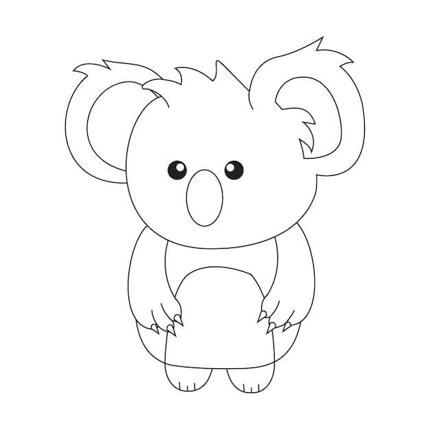 Koala Perfecto