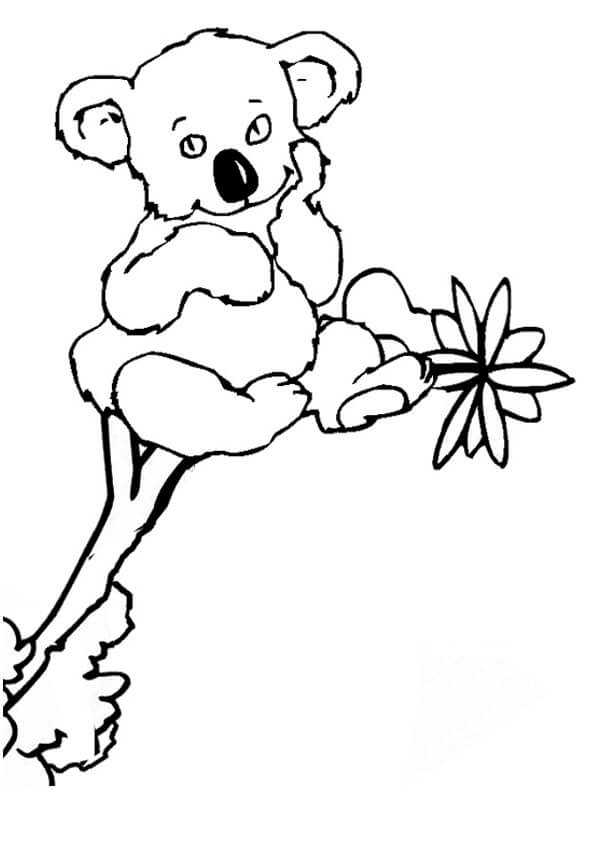 Koala sentado en el Árbol