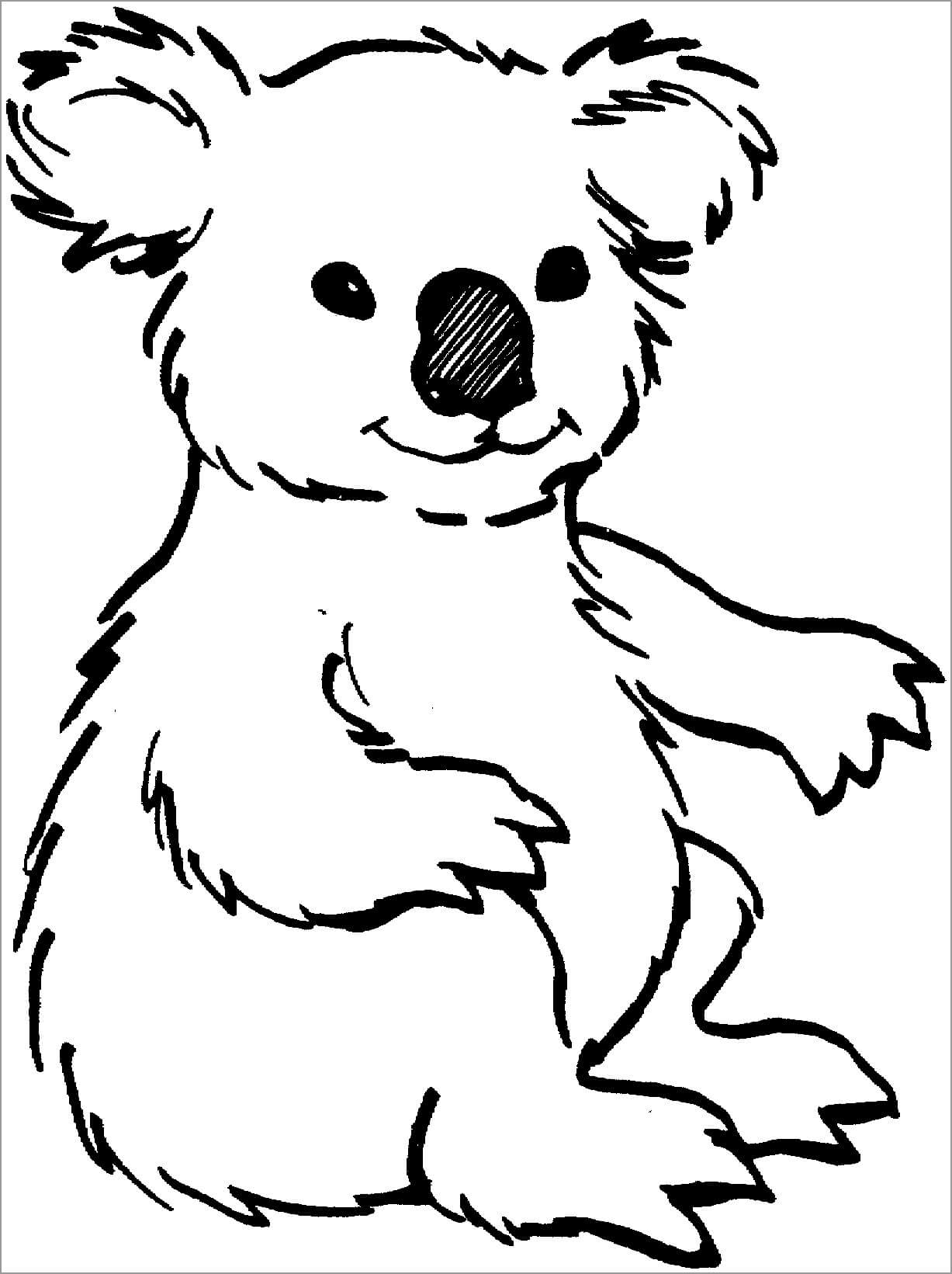 Koala Sentado