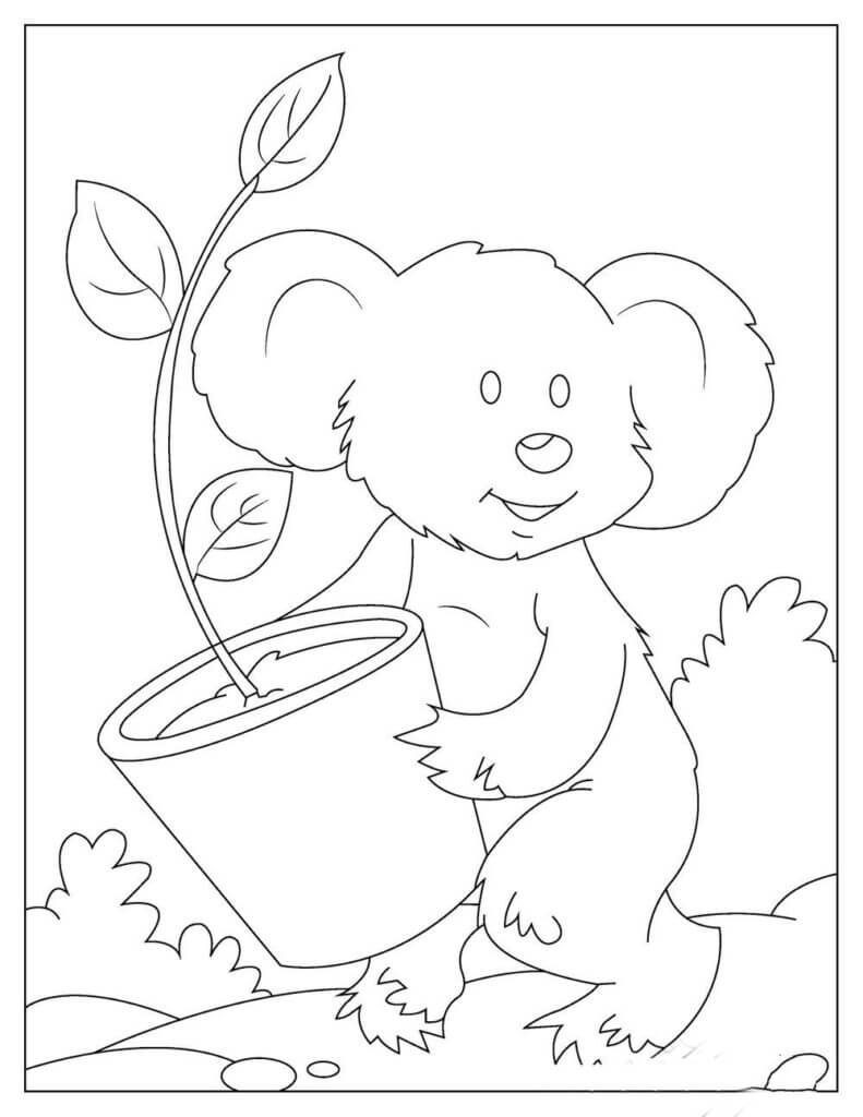 Koala Sosteniendo una Maceta