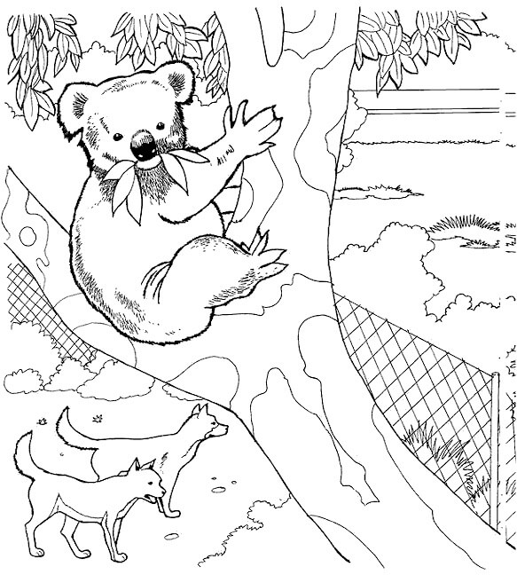 Koala y dos Perros en el Zoológico