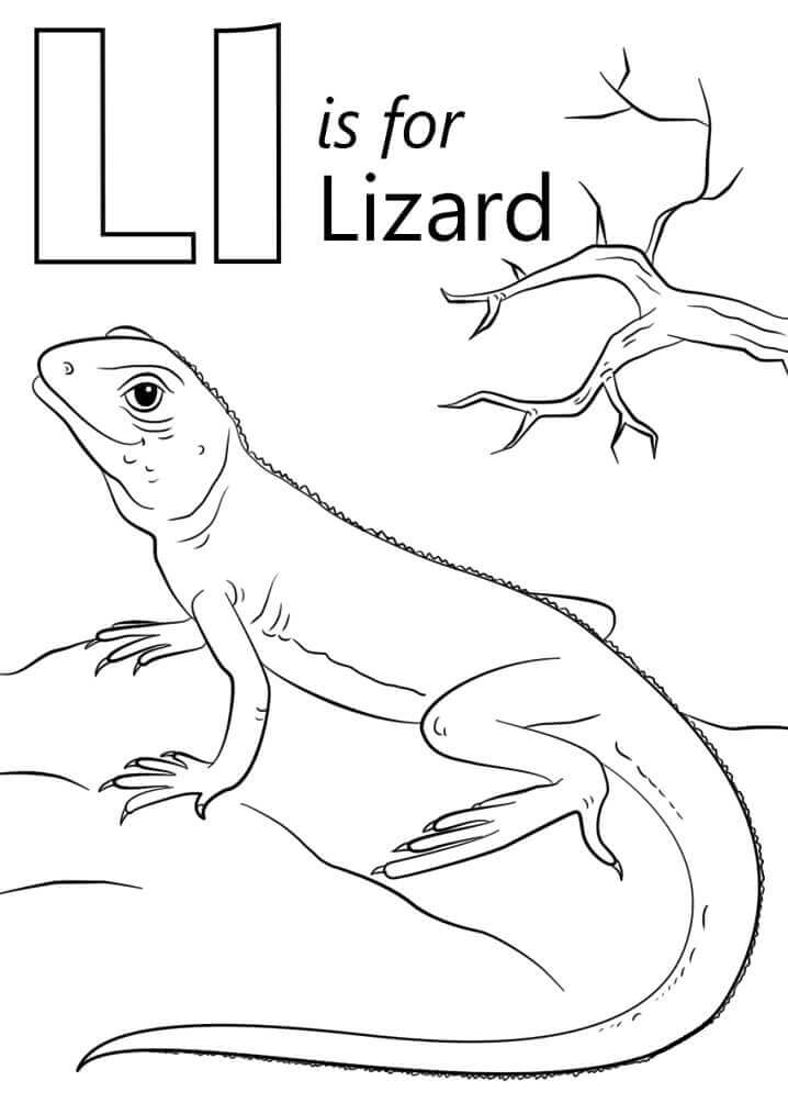 Lagarto Letra L