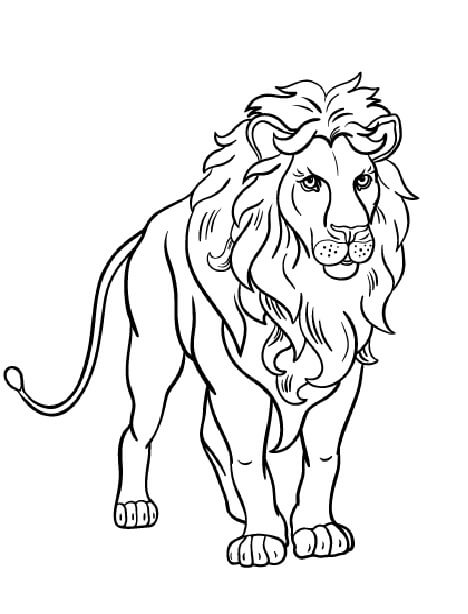 León