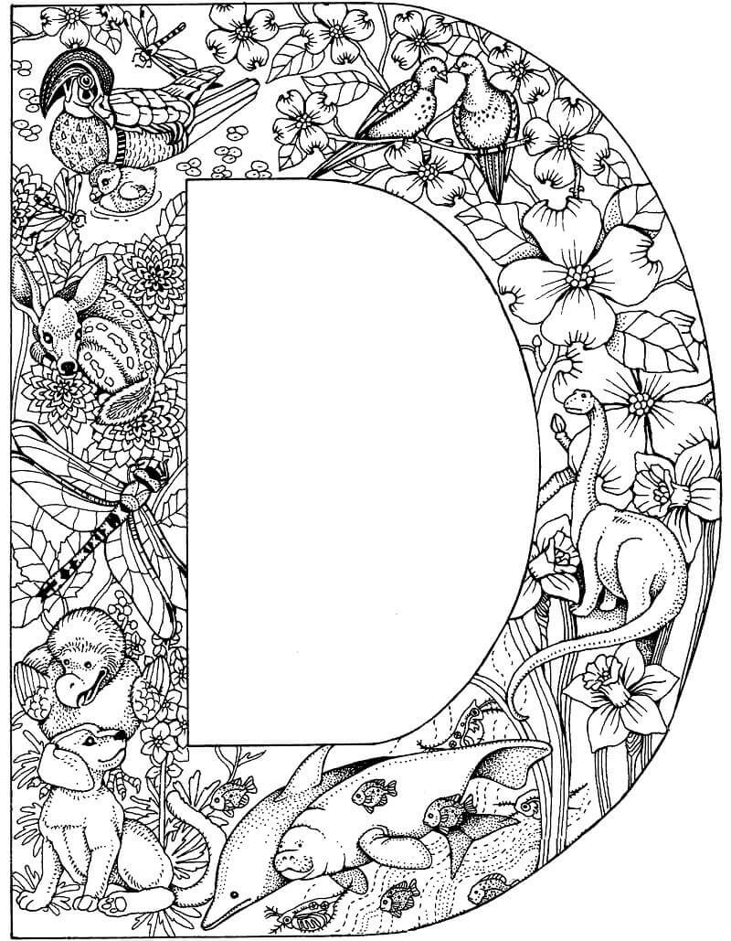 Letra D 2