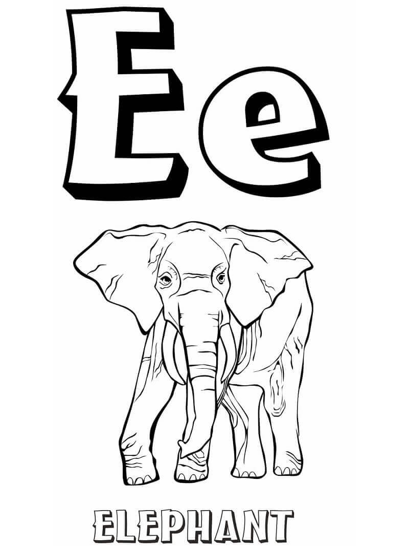 Letra E 6