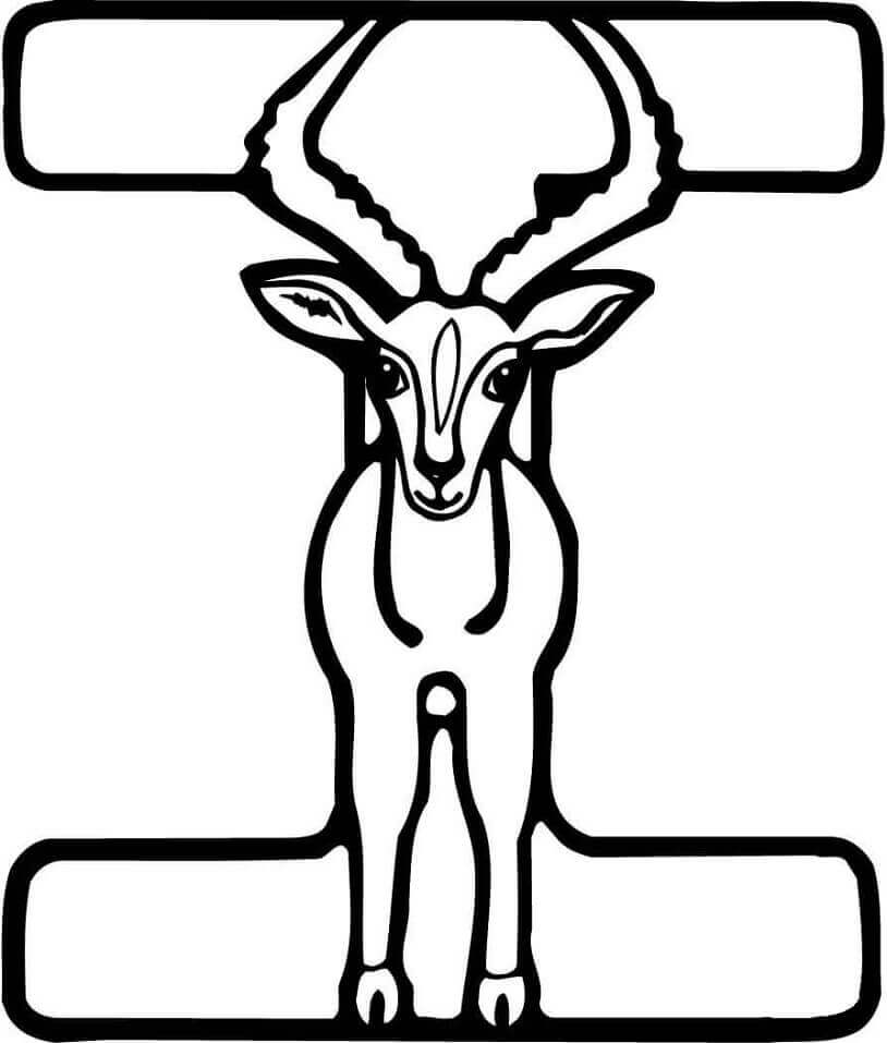 Letra I Animal