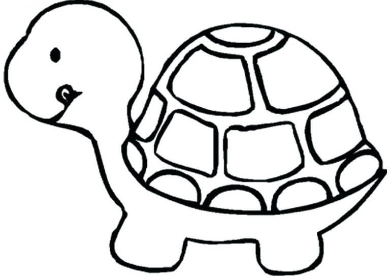 Linda Tortuga Mascota